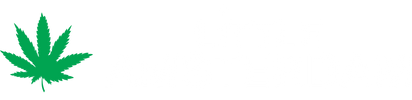Little Amsterdam - Home